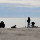 Fischer an der St. Charles Bay