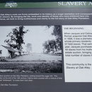 Oak Alley Plantation ist eine typische Zuckerrohrplantage, wo auch Sklaven gehalten wurden. Eine sehr informative Ausstellung zeigt das Leben der Sklaven hier.