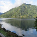 Wald - Wald - Wasser