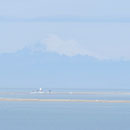 Blick auf den Leuchtturm von Dungeness Spit, im Hintergrund Mount Baker (Kaskadengebirge Washington)