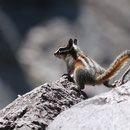 Lassen NP, Kalifornien, USA Juni 2015