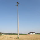 Solche Stromasten sind oft ein Todesurteil für Großvögel Foto: Robert Gattringer