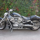 Harley Vrod