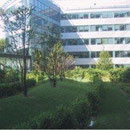 Jardin sur dalles de l'immeuble "River Plaza" (92)