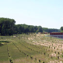 Plantations II aux abors de l'A 19