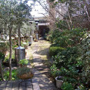 サザコーヒー奥の庭園