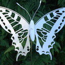 Schmetterling