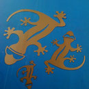 Gecko