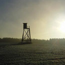 Mähring