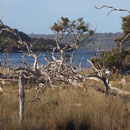 Bizarre Landschaft