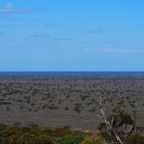 Ein Eindruck der Weiten in Australien am Great Australian Bight resp. Nullarbor entlang