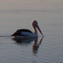 Idylle pur am Lake Albert