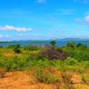 Der  Udawalawe Nationalpark ist ein Farben-Spektakel - unglaublich schön und vielfältig