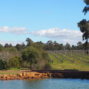 Margaret River Weinregion