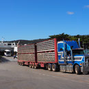 Auch dieser Road Train war auf der Fähre...