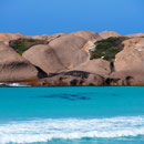 Delfine im Wasser vor dem Twilight Beach