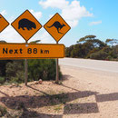 "Road-Sign" schlechthin bei den Nulllarbor-Plains