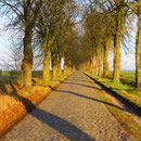 Landschaft am Scharbow See
