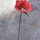 Blume Nr. | Flower No. 58 |   20 €   | ca. 30 cm