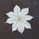Blume für den Tisch Nr. | Flower for the desk No. 05 |   18 €   | ca. 25 cm