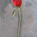 Blume Nr. | Flower No. 59 |   24 €   | ca. 30 cm