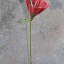 Blume Nr. | Flower No. 60 |   20 €   | ca. 30 cm