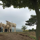 Guter Ausblick über das Tal