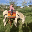 Reiten auf den neuen Satteldecken