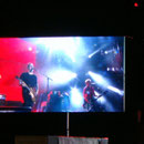Die Toten Hosen auf der Centerstage.