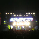 Die Toten Hosen auf der Centerstage.
