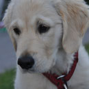 Nachricht von Sam .... :-)  (Lucys Schwester)