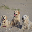 Ausruhen am Strand
