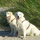Baywatch!!!!