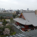 浅草寺本堂