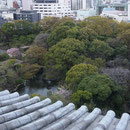 伝法院の庭園