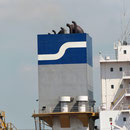 Synergy Maritime Holding, Athen