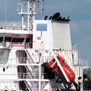 Torlak Shipping, Istanbul, Türkei