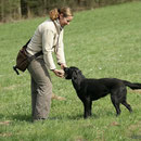 Workingtest Lutter September 2010