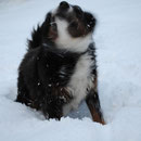 der Schnee muss weg