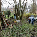 Gartenrummeltag im November