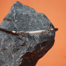 Glasbogen (Edelstahl) an gefl. Leder-Kette m. Herzschließe (55 €*)