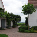 Zimmeransicht Hofseite