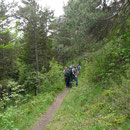 Goethewanderweg bei Großkochberg 31.05.2014 (Foto: Hanne Uedelhoven)