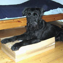 Uuii! Das Dogforum-Osterwichtelpaket ist endlich da!