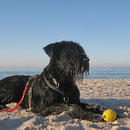 Strand nahe Zingsthof.