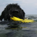Seenotretter.