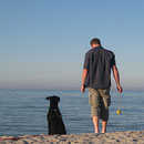 Strand nahe Zingsthof.