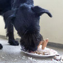 Schmeckt!