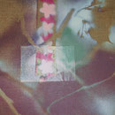 © Nathalie Arun, bilderserie japan, sakura 10