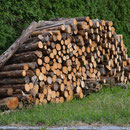Holz vor der Hütte